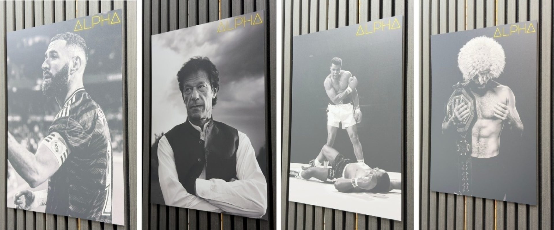 The Four Faces of Alpha Power, Purpose, and the Principles That Built Our Clinic